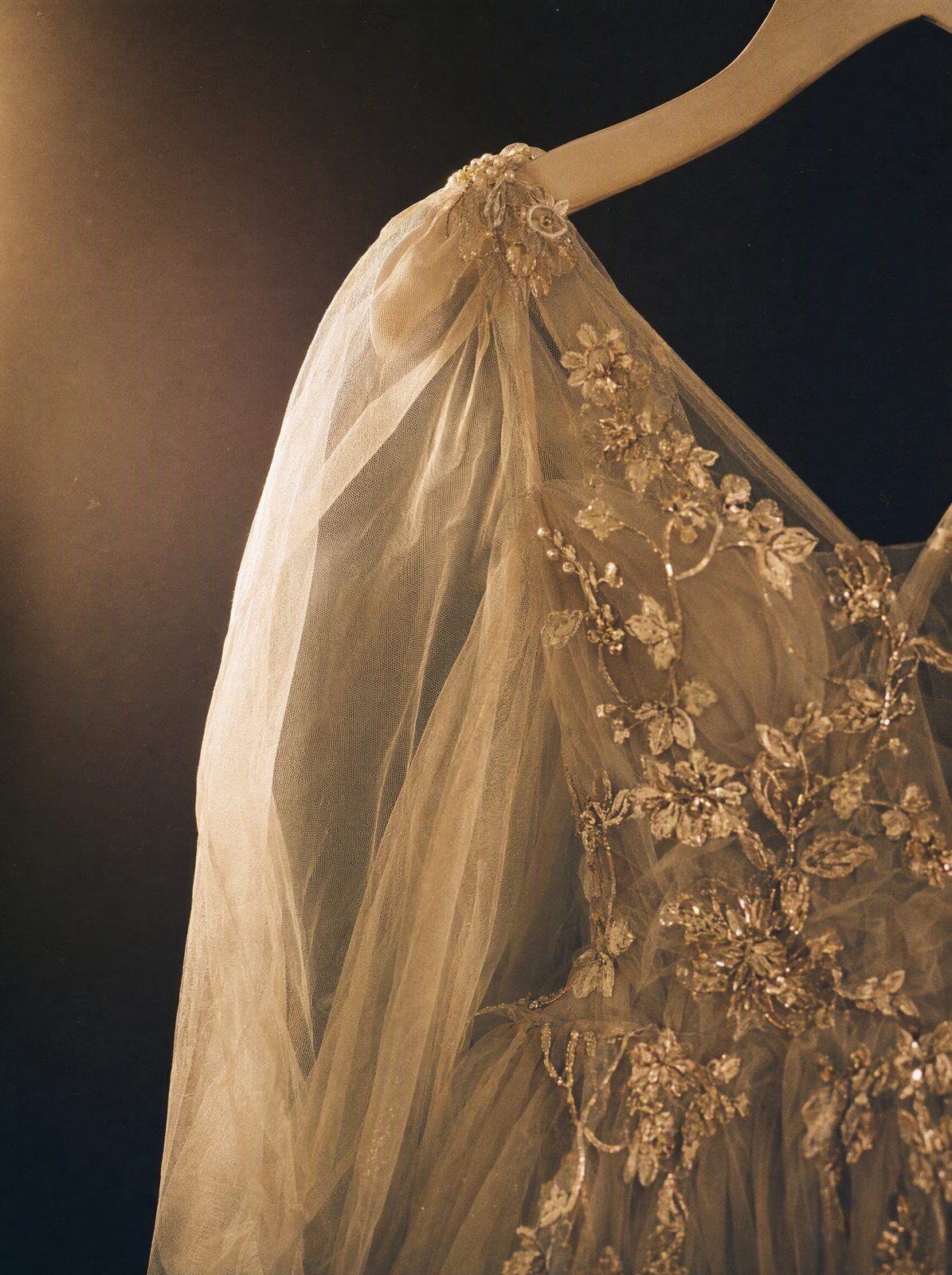 Editorial still representing Isabella (RUNWAY) — real portrait follows consent approval
